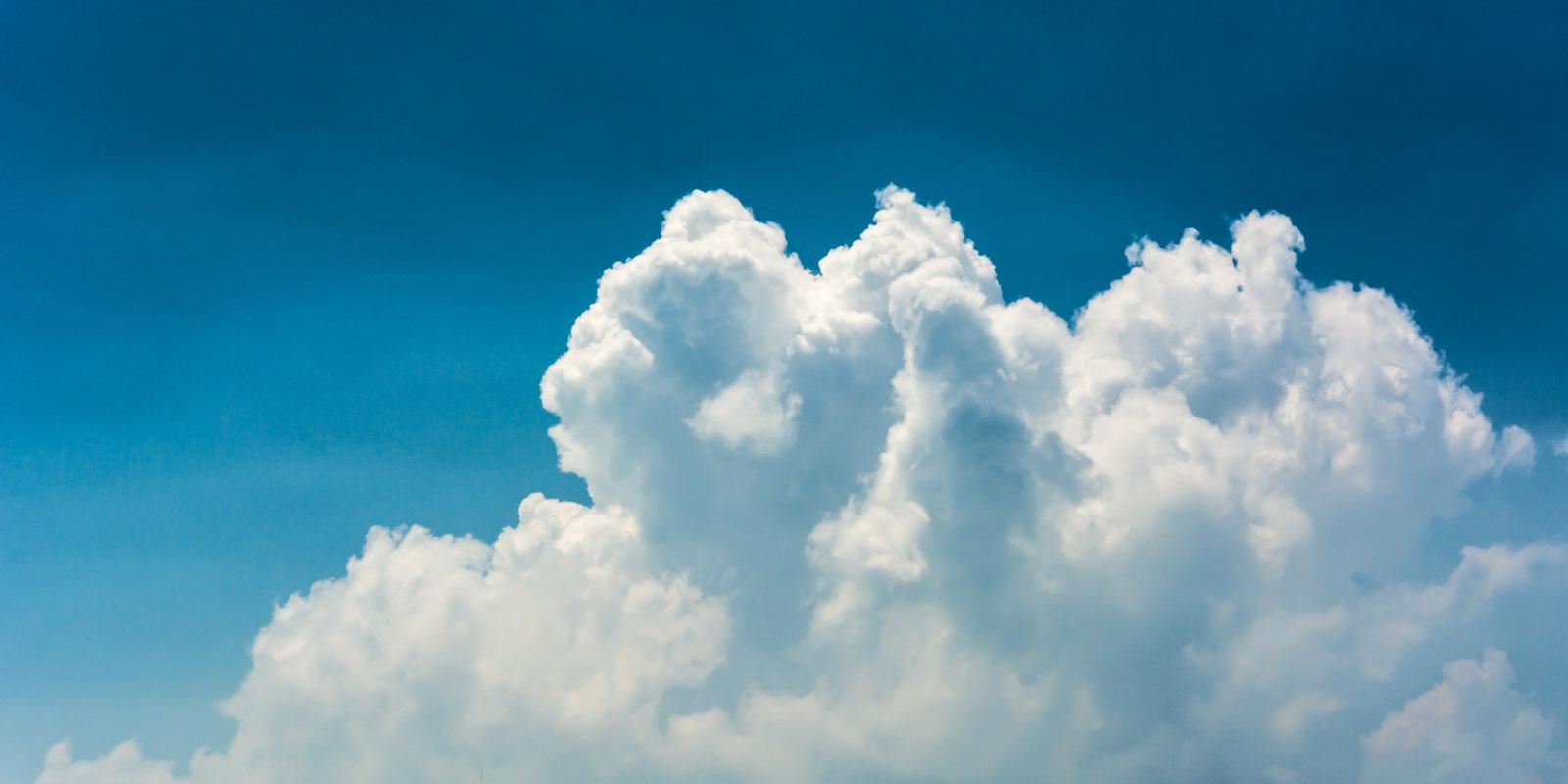 enter image alt text