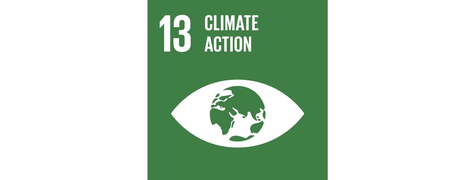 Global Goal 13