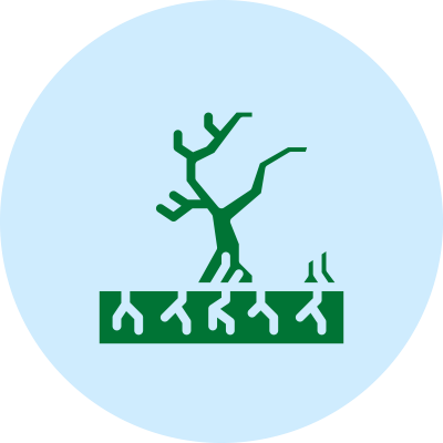 enter image alt text