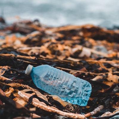 enter image alt text