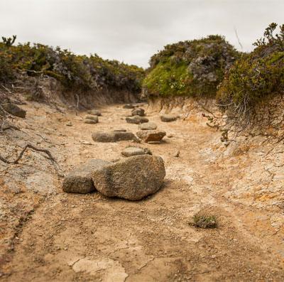 enter image alt text