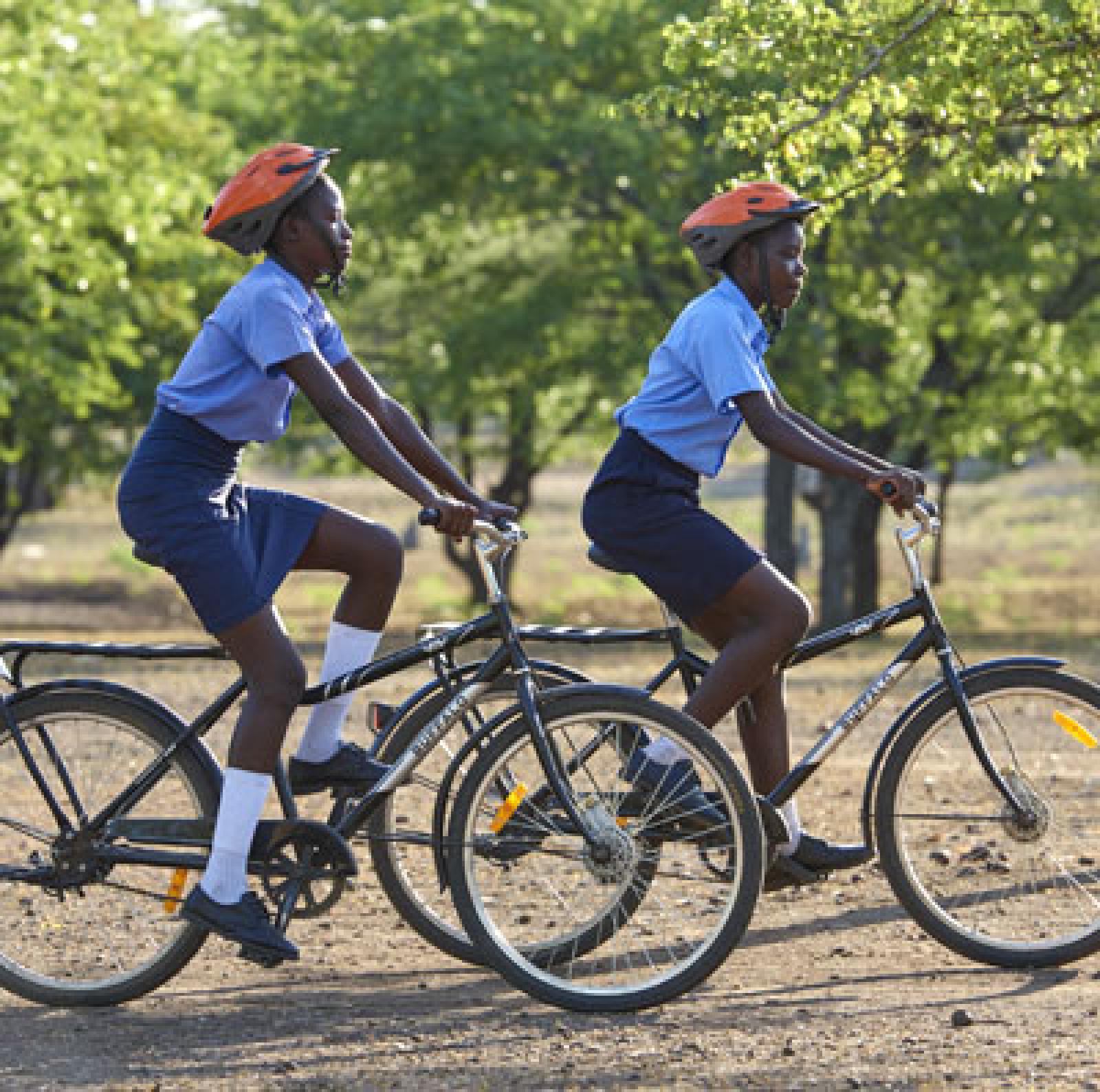 enter image alt text