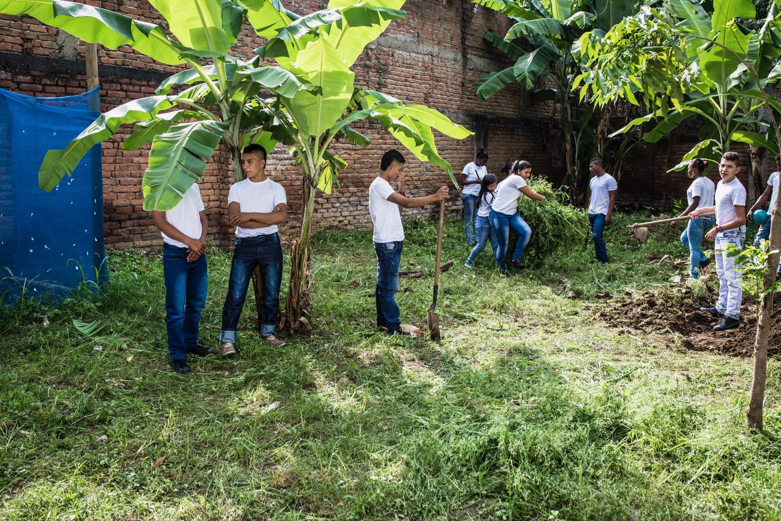 Young boys planting garden area.