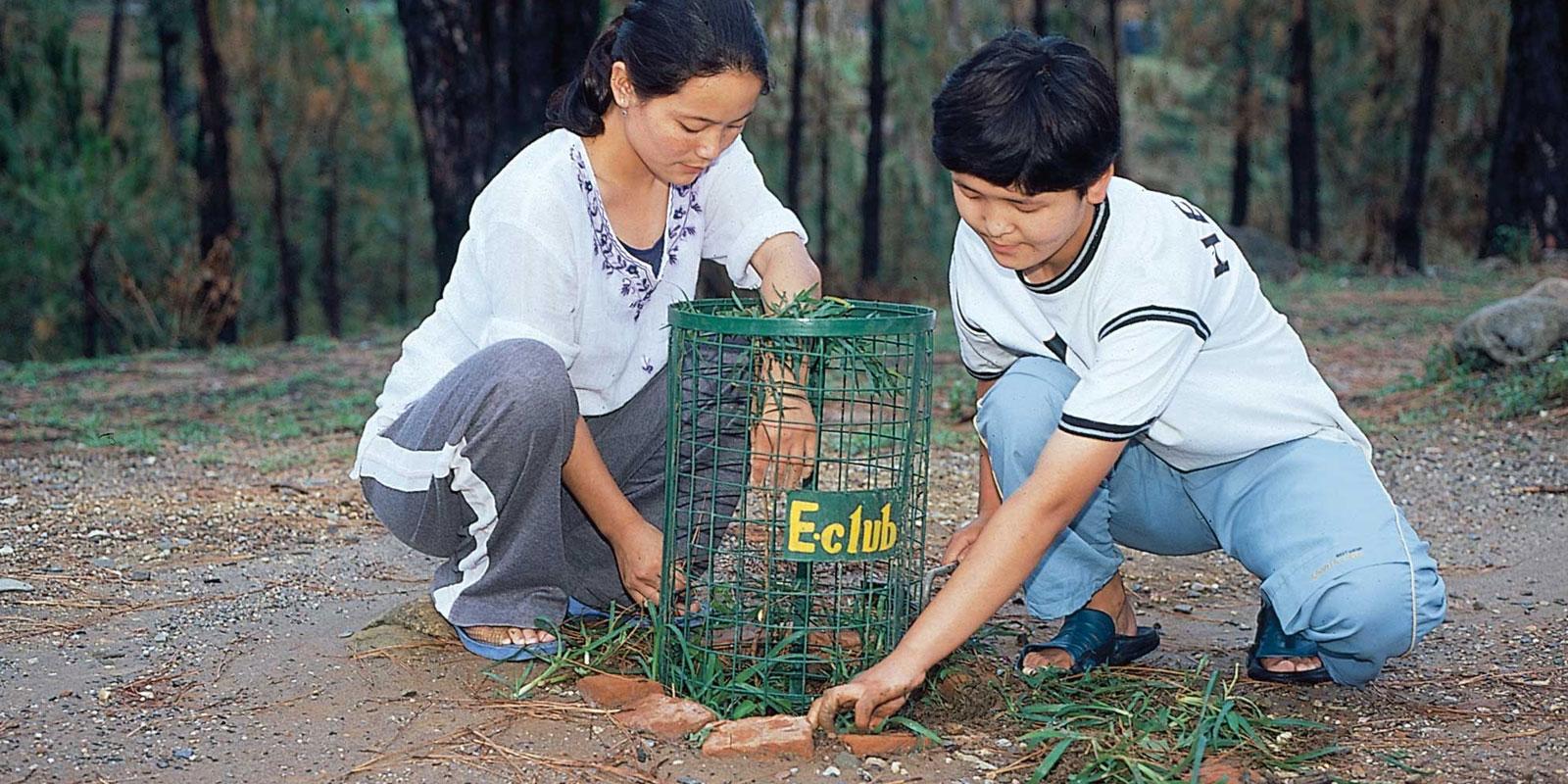 Two girls putting gree. protective netting around plant. 