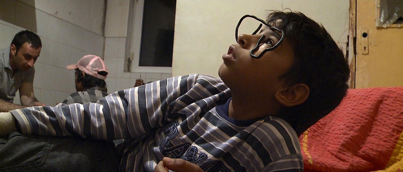 Toto at home with funny glasses