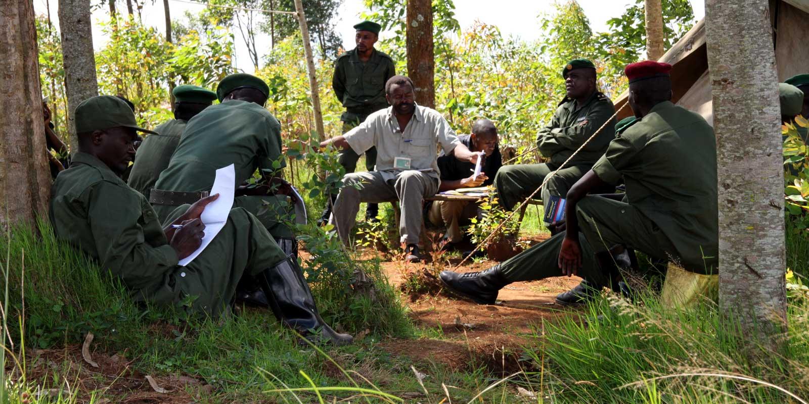 enter image alt text