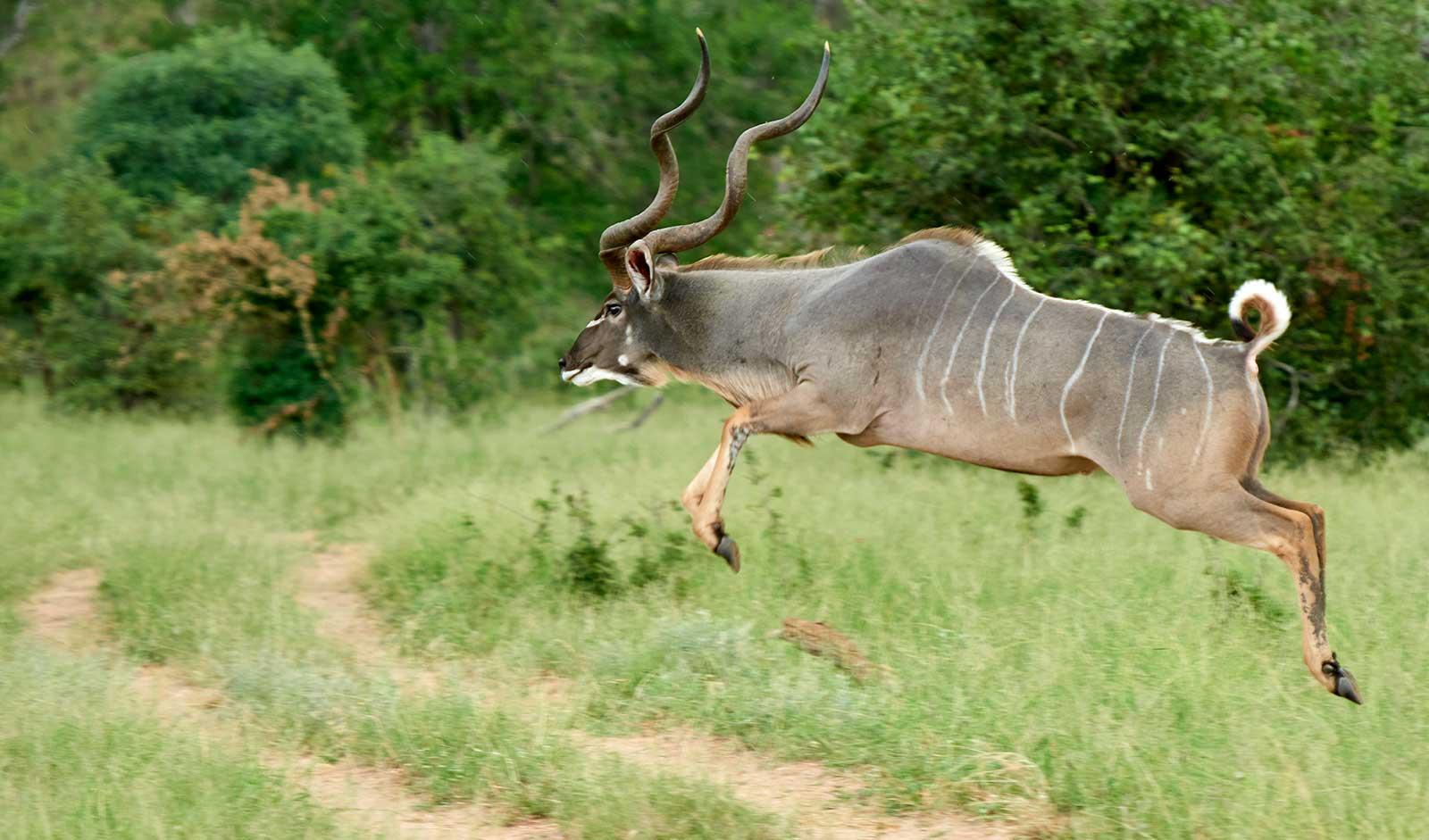 enter image alt text