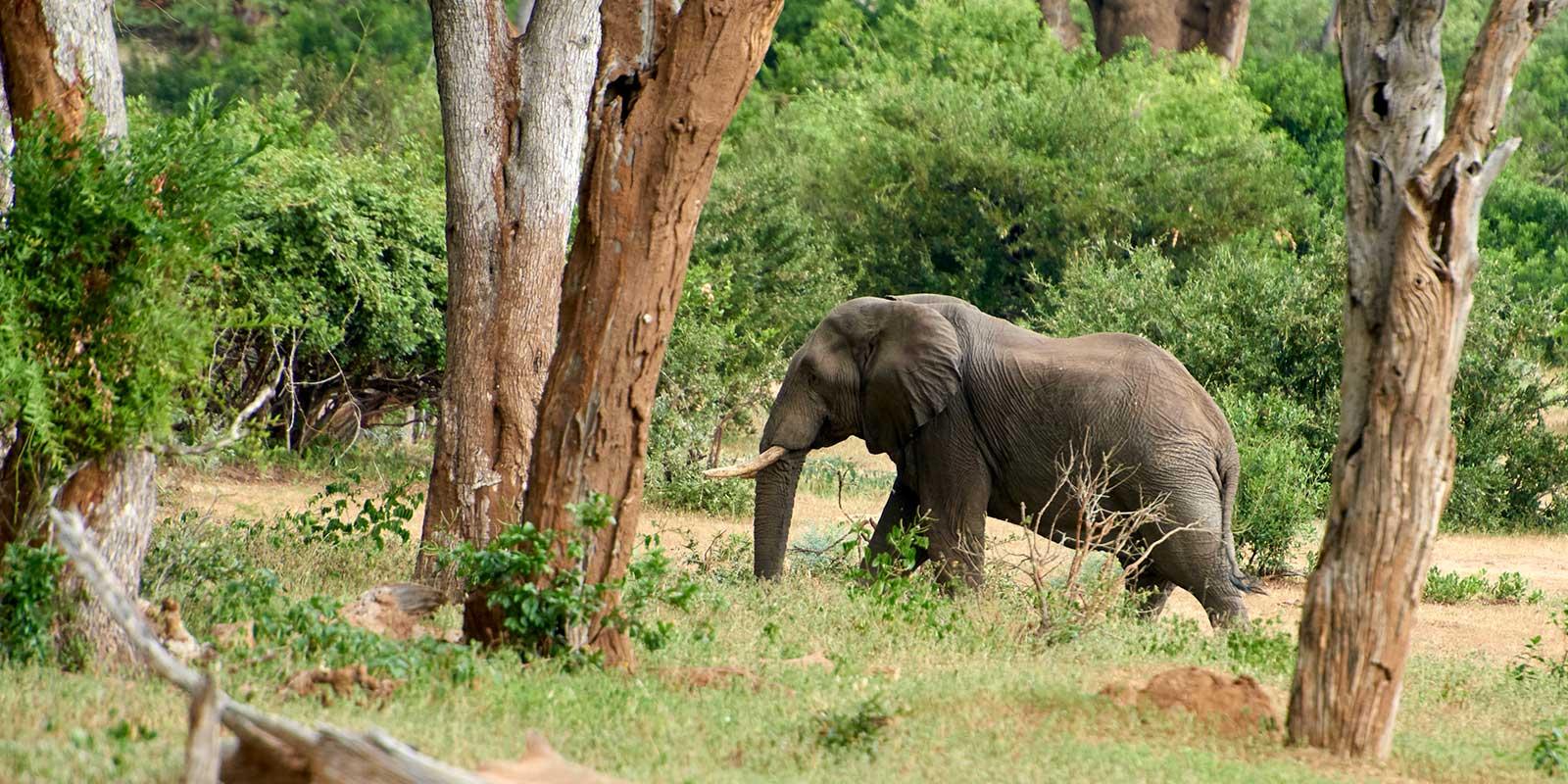 enter image alt text