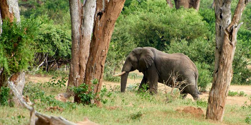 enter image alt text