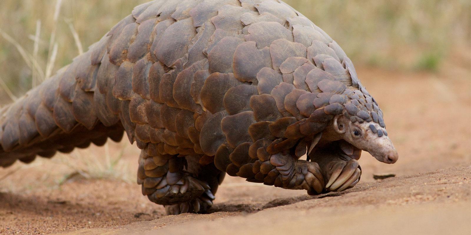 enter image alt text