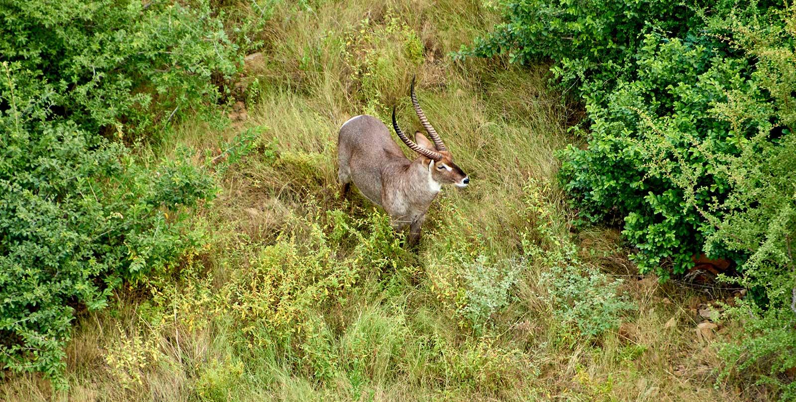 enter image alt text