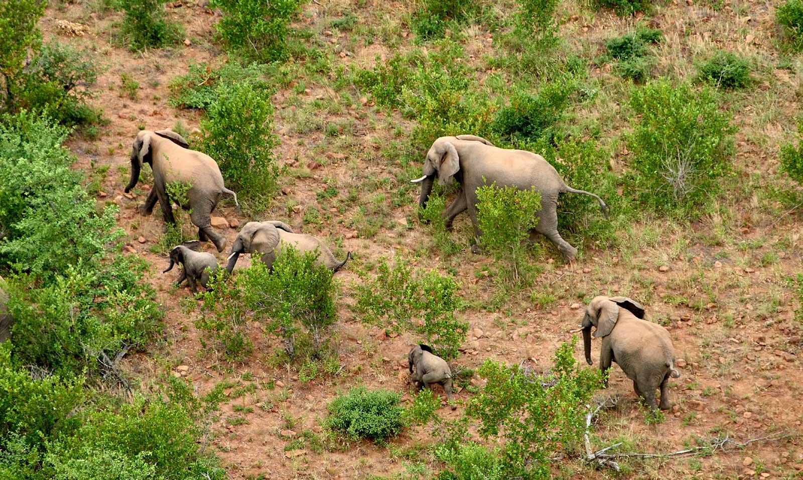 enter image alt text