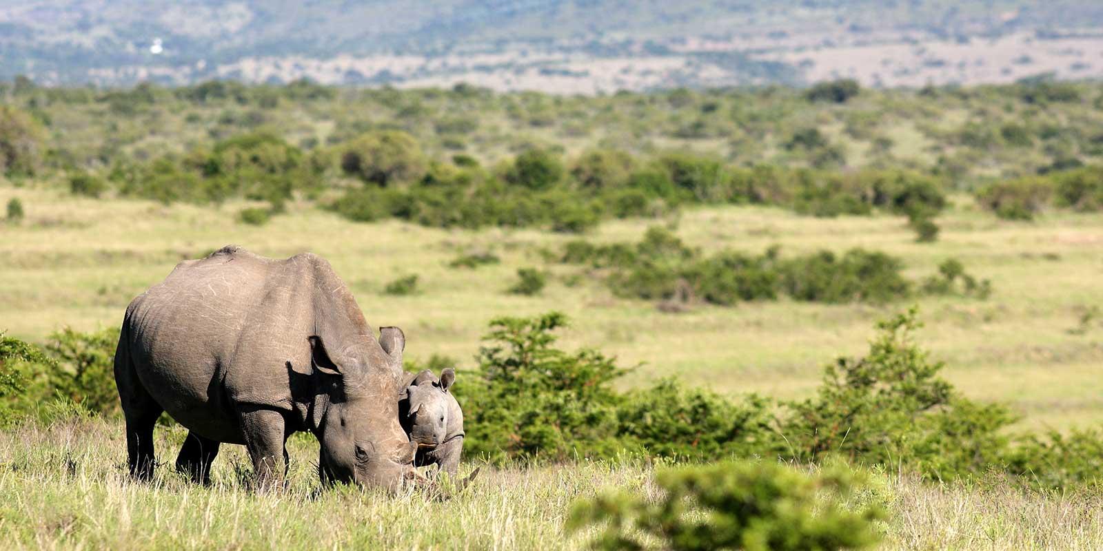 enter image alt text