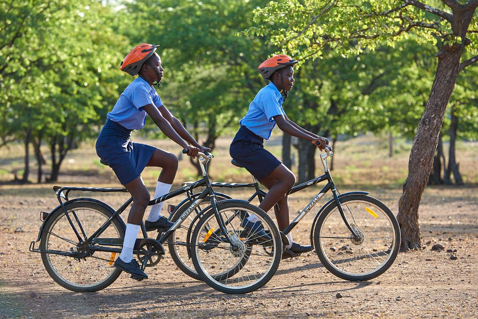 enter image alt text