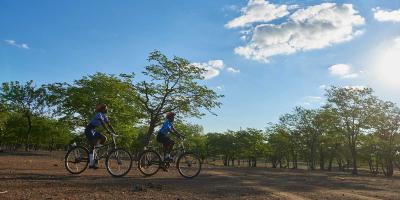 enter image alt text