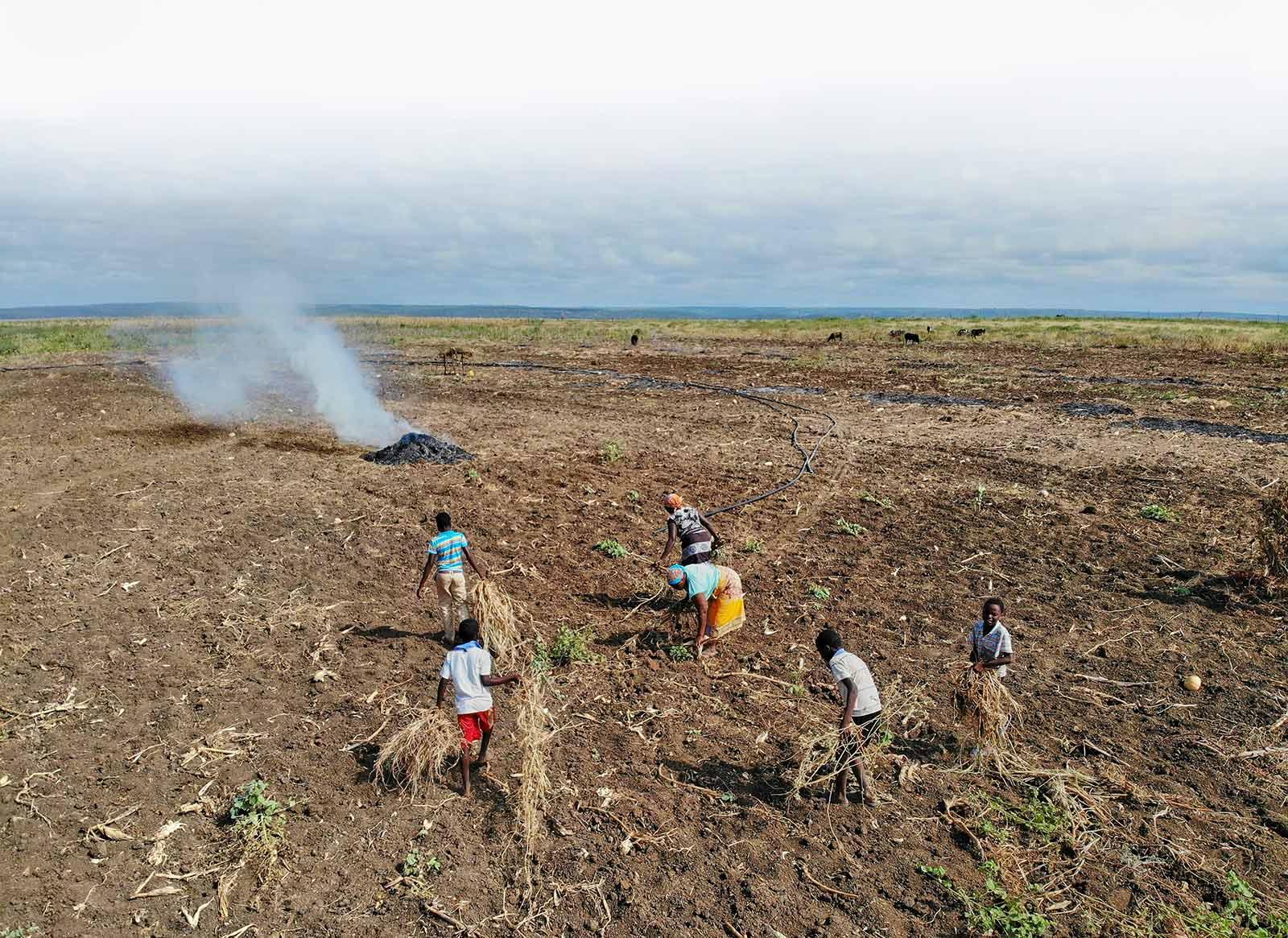 enter image alt text