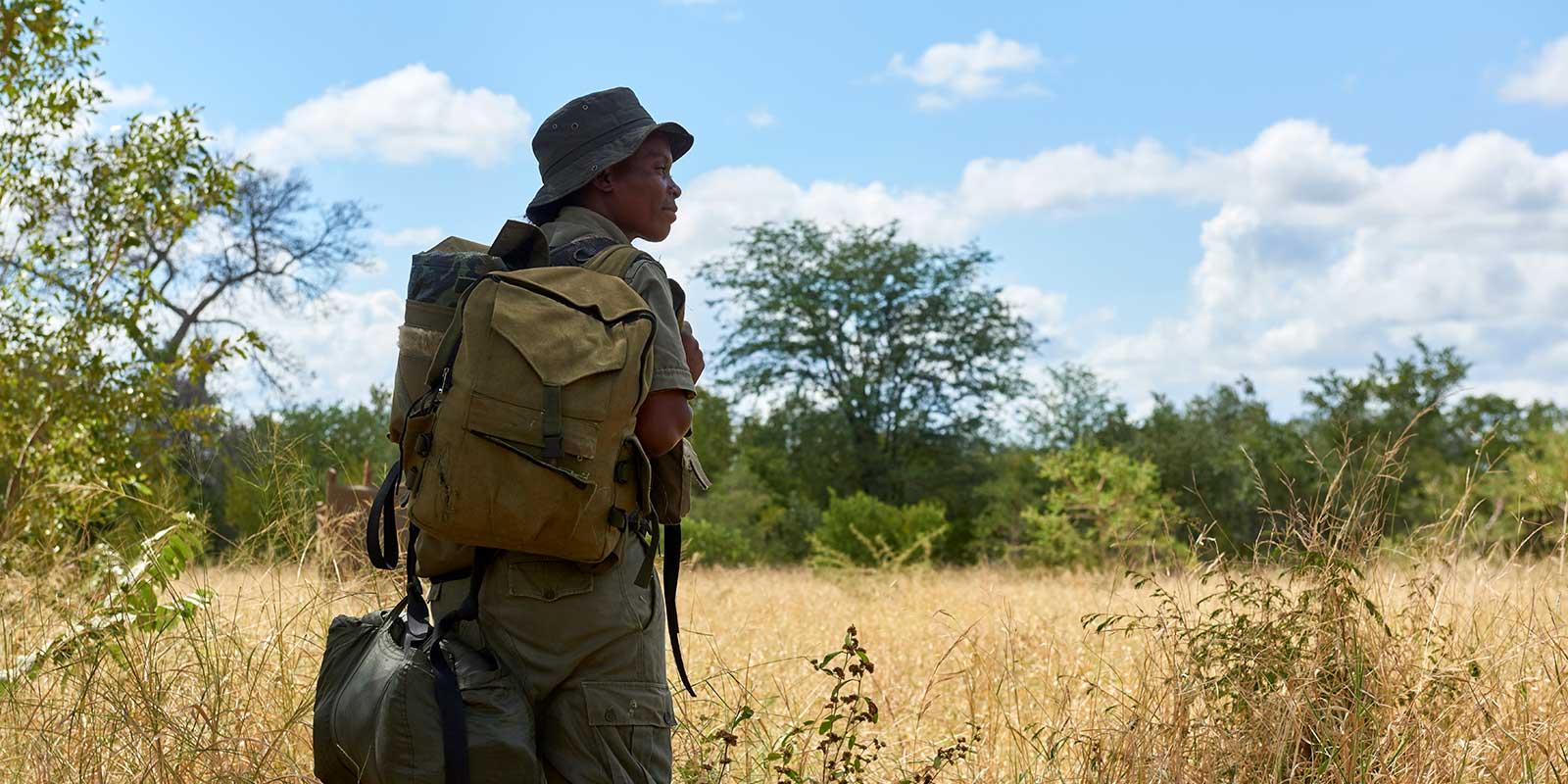 enter image alt text