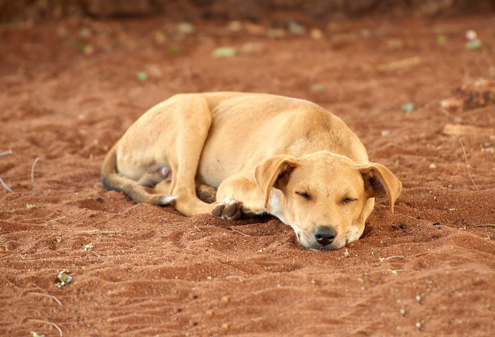 enter image alt text