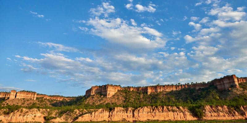 enter image alt text